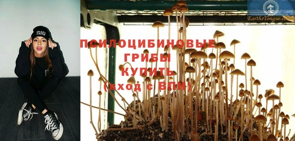 соль ск Краснотурьинск