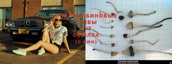 соль ск Краснотурьинск