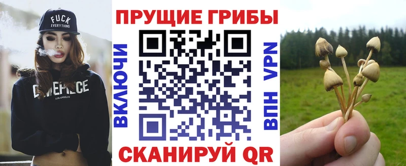 Галлюциногенные грибы MAGIC MUSHROOMS  Купить где  Невьянск 